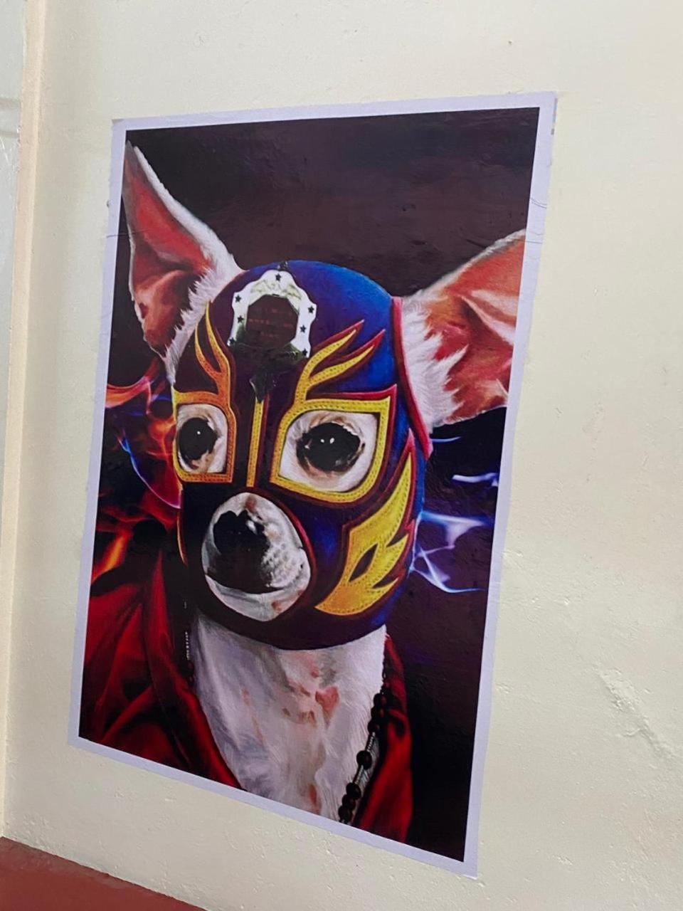Mil Mascaras 호텔 오아하카주 외부 사진